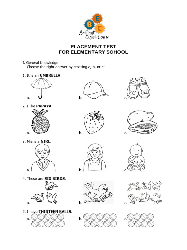 Elementary School Placement Test | PDF