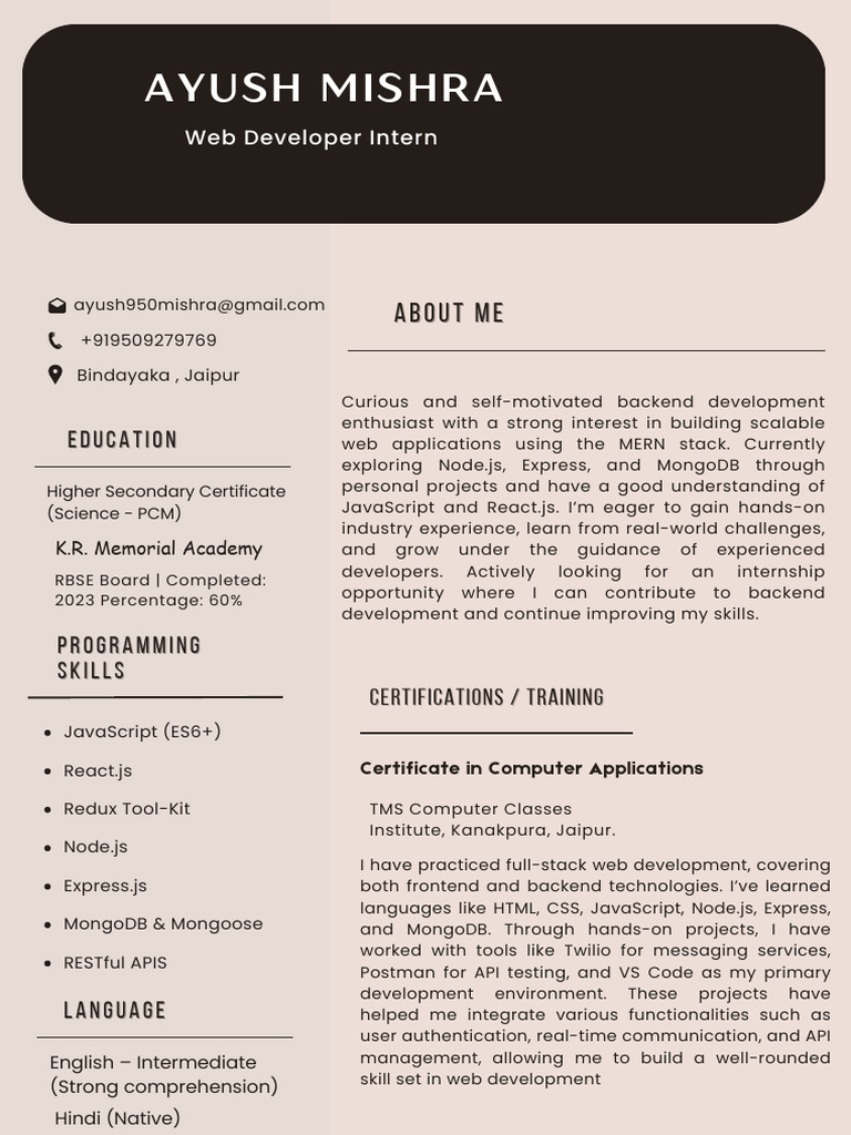 Ayush Mishra's Web Development Portfolio | PDF | Web Development | Java ...