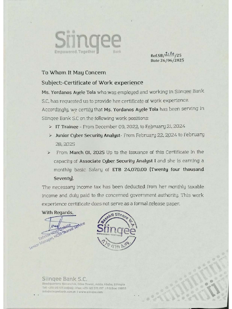 Experience | PDF