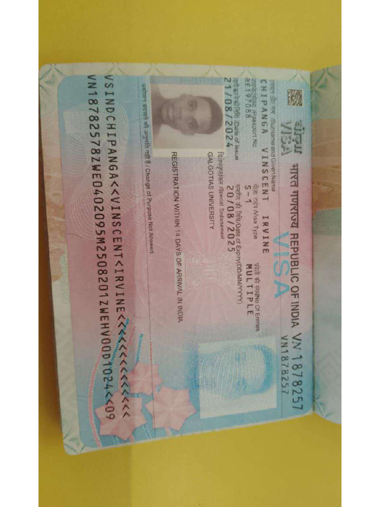 Visa Photo | PDF