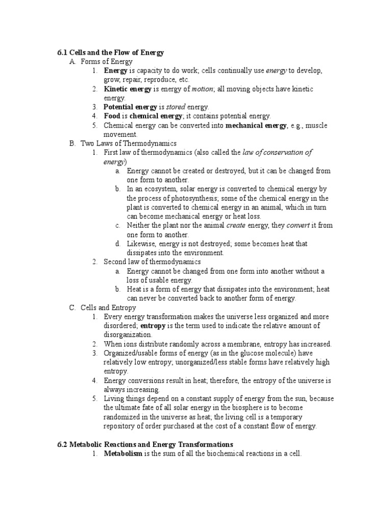 Chapter 6 Review | PDF | Business