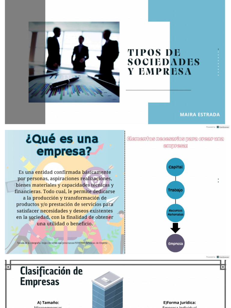 Tipos de Sociedades y Empresa-Maira Estrada | PDF