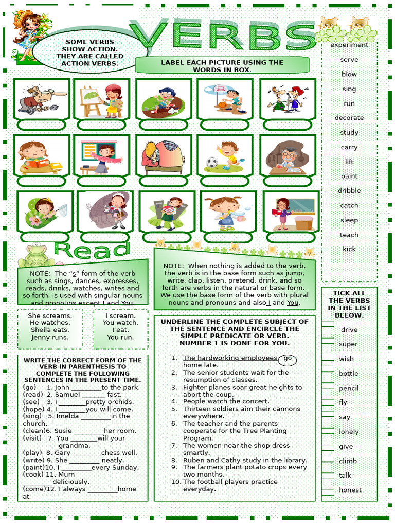 Understanding Action Verbs and Usage | PDF | Verb | Grammatical Number