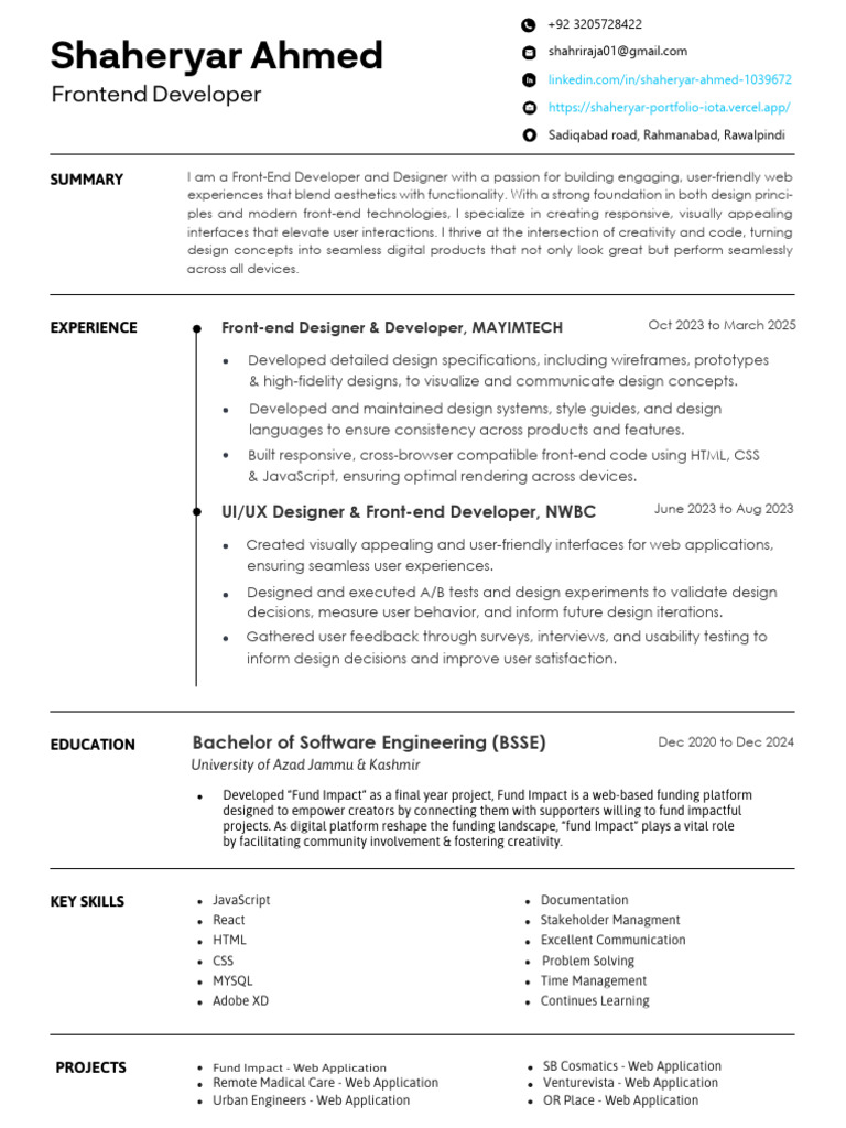 Frontend Developer & Designer Portfolio | PDF | Usability | Systems ...