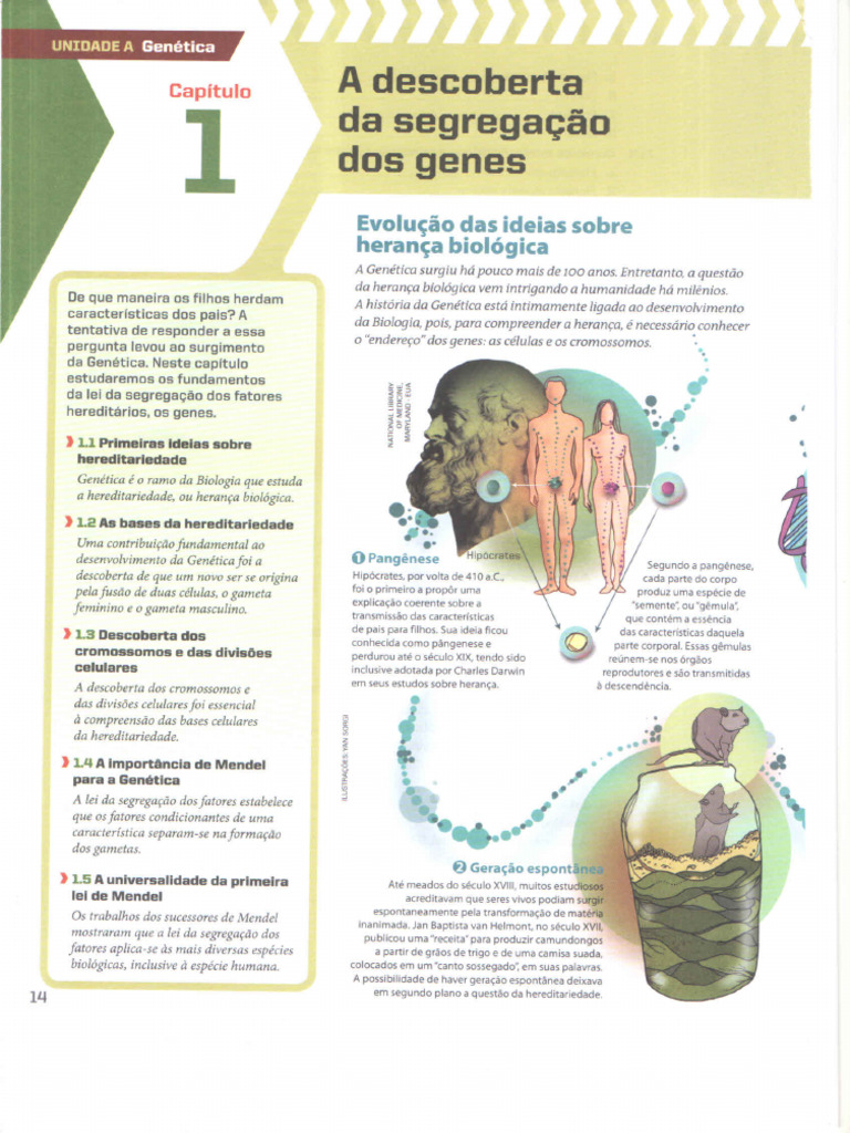 Evolução Das Ideias Sobre Herança Biológica | PDF