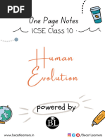 Human Evolution Chart | PDF | Homo | Human Evolution