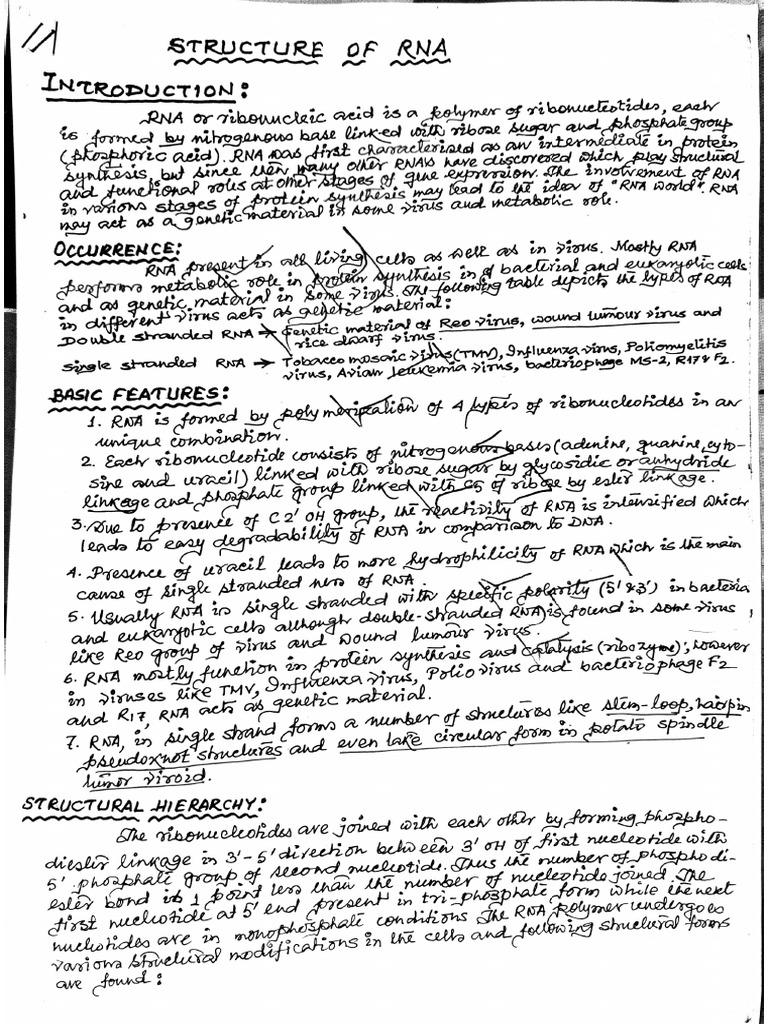 Adobe Scan 16 Jun 2025 | PDF