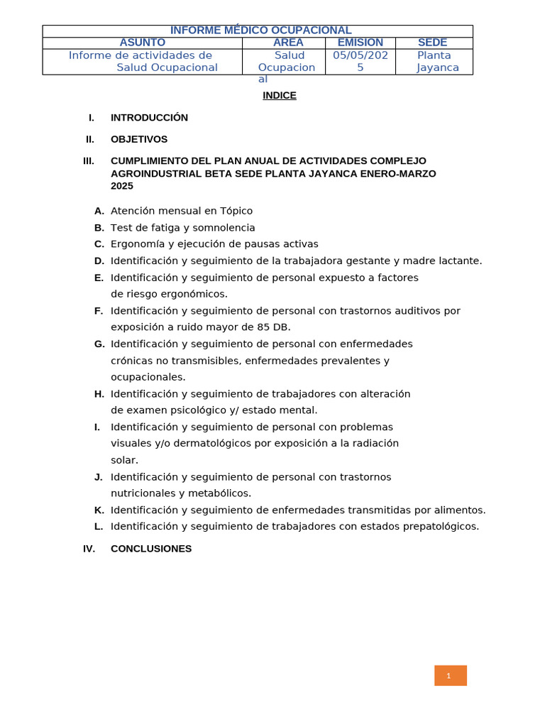 Informe de Salud Ocupacional 2025 | PDF | Seguridad y salud ocupacional ...