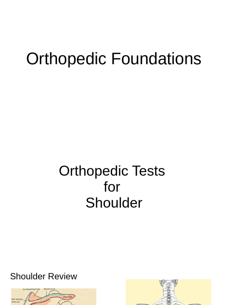 Comprehensive Shoulder Assessment Tests | PDF | Anatomical Terms Of ...