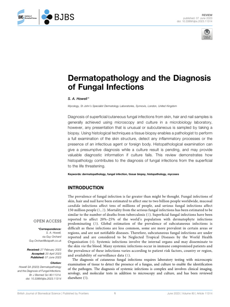 Dermatopathology in Fungal Diagnosis | PDF | Infection | Fungus