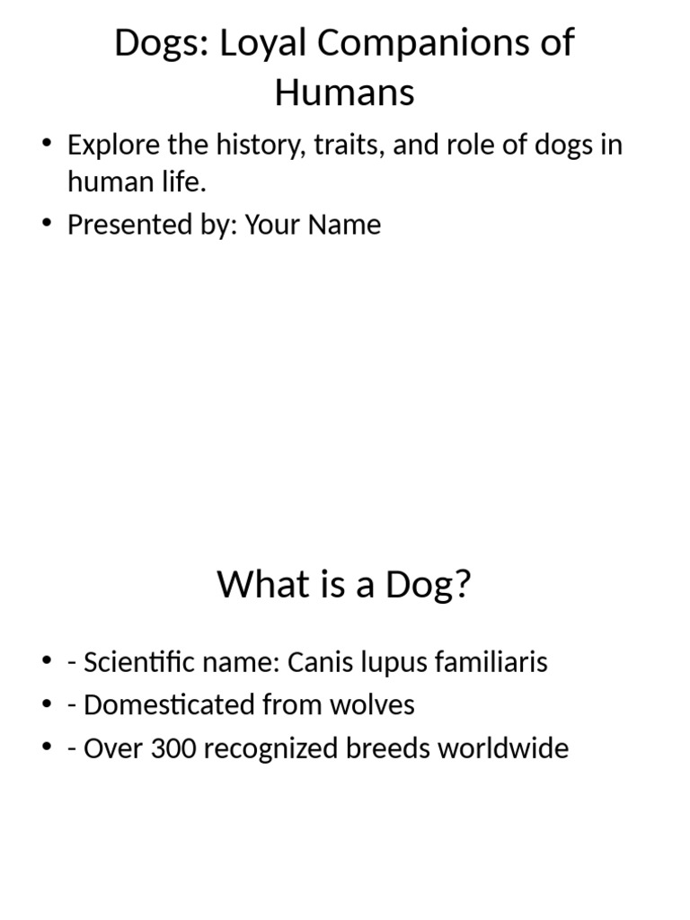 Overview of Dogs: History and Roles | PDF
