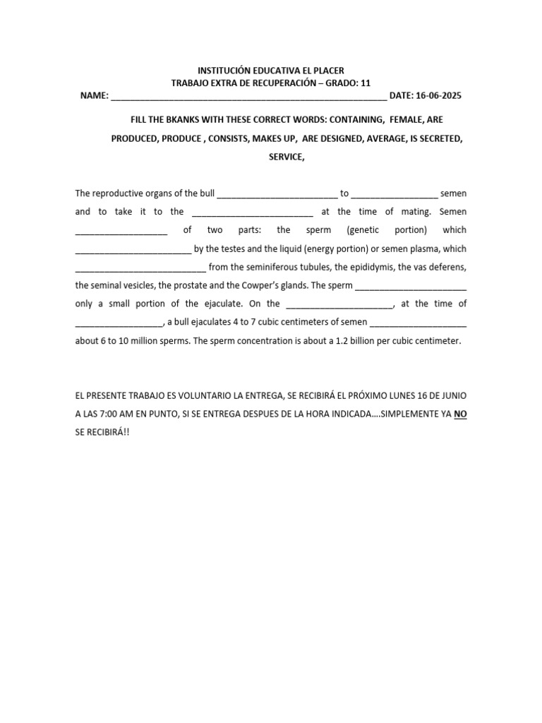 Extra 11 | PDF