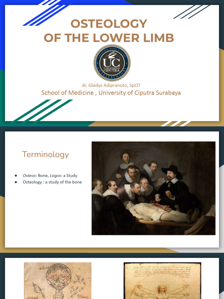5.osteology of The Lower Limb Dr. Gys | PDF | Foot | Knee