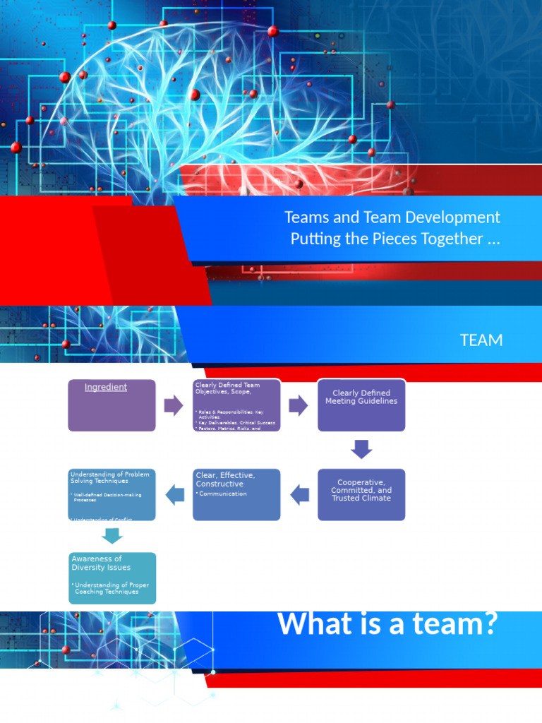 Team Development and Performance Guide | PDF | Goal | Communication