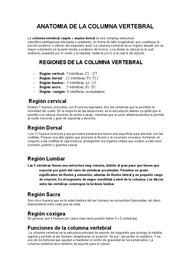 Anatomía y Cuidado de la Columna | PDF | Vértebra | La columna vertebral