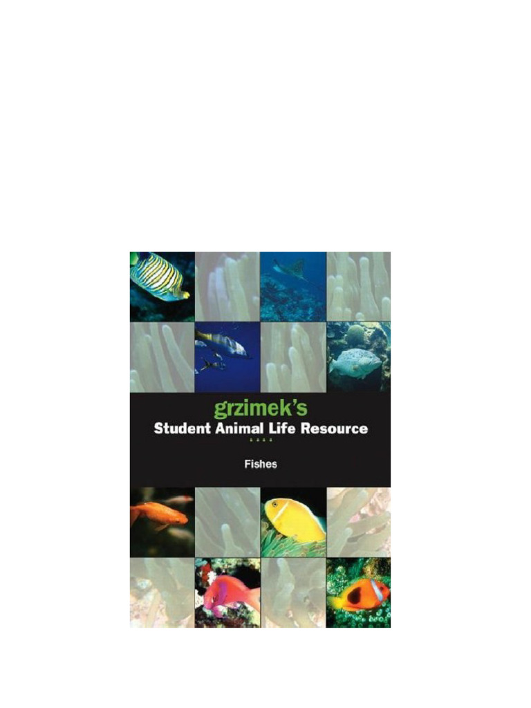 4228Fishes 1st Edition Catherine Allen download PDF Fish Vertebra 4228Fishes 1st Edition Catherine Allen download PDF Fish Vertebra