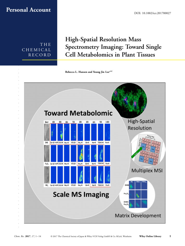 High-Spatial Resolution Mass | PDF | Metabolomics | Mass Spectrometry