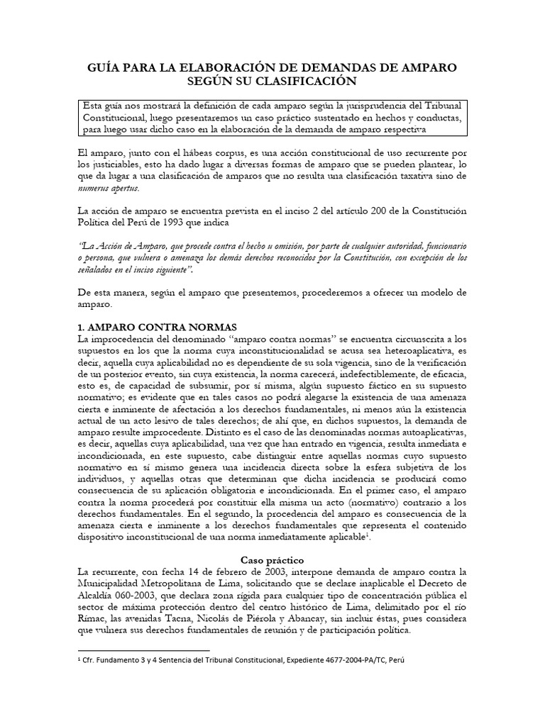 Guía para Demandas de Amparo en Perú | PDF | Demanda judicial | Ley ...
