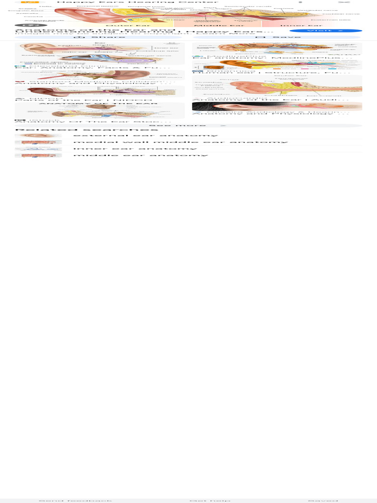 Ear Anatomy - Google Search | PDF