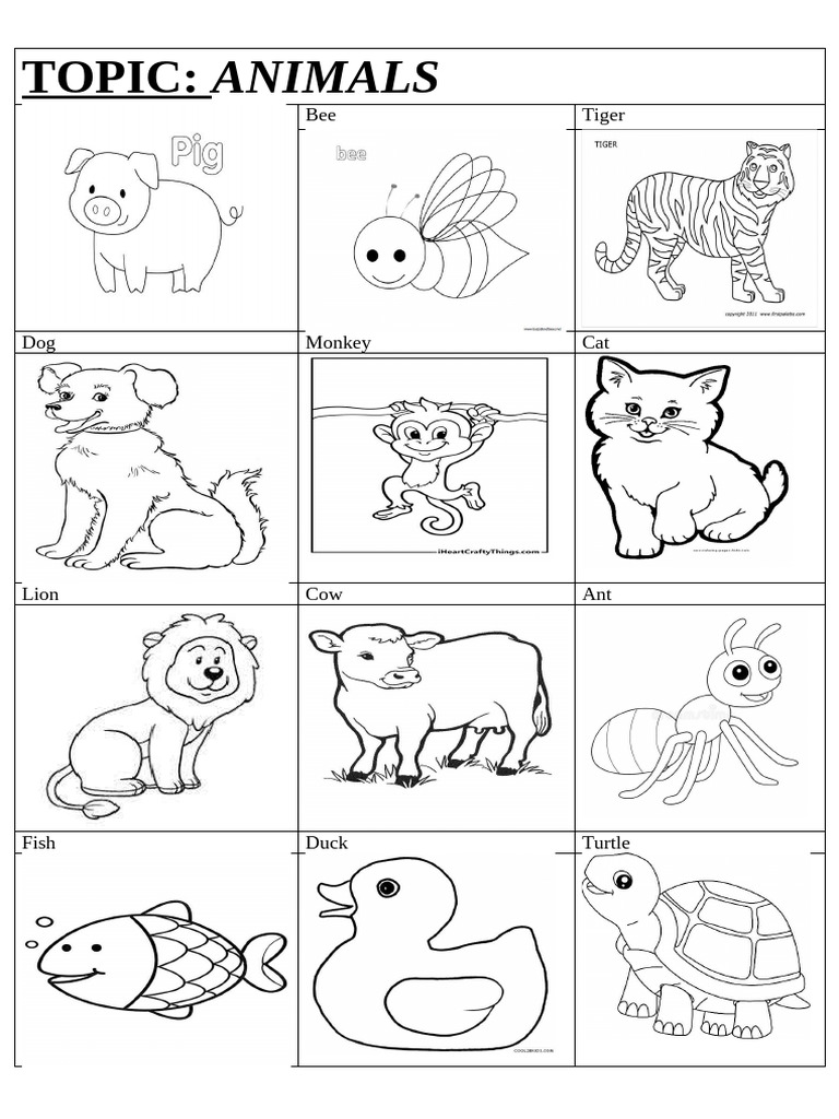Animals Topic | PDF