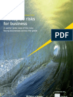 ERNEST YOUNG Business Risk Report 2010