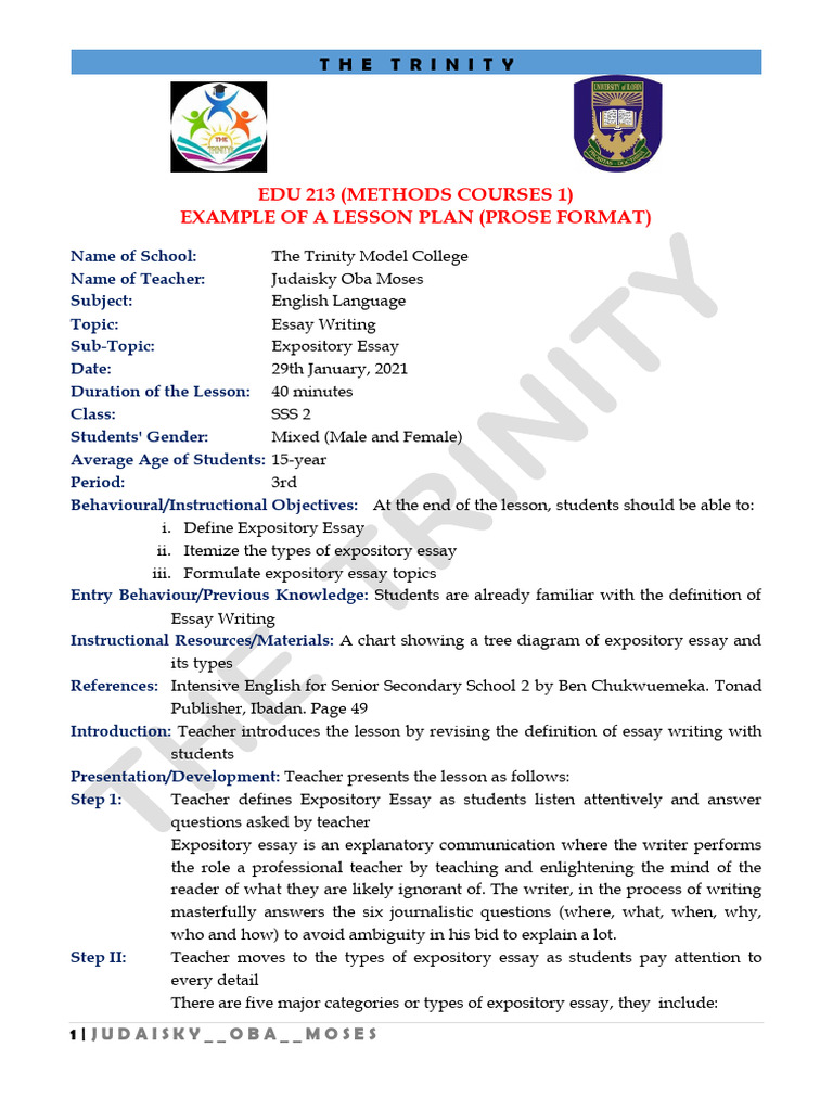 Edu 213 - Lesson Plan Sample (0) - 085353 | PDF | Essays | Teachers
