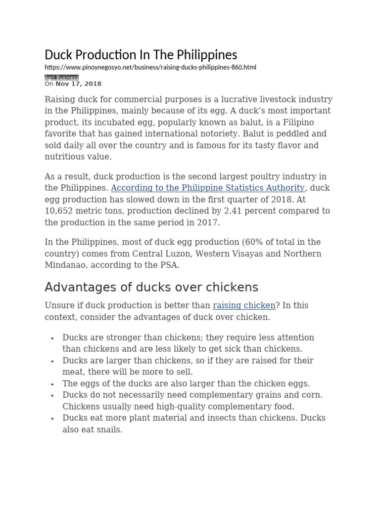 Duck Farming in the Philippines Guide | PDF | Waterfowl | Poultry