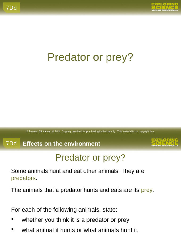Predator and Prey Animal Overview | PDF | Predation | Fox