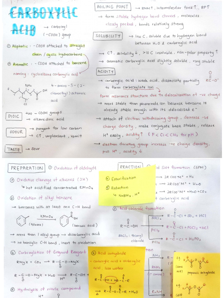 Carboxylic Acid | PDF
