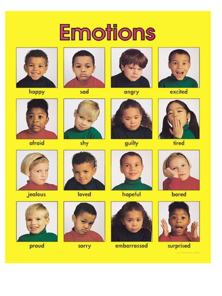 Emotions | PDF