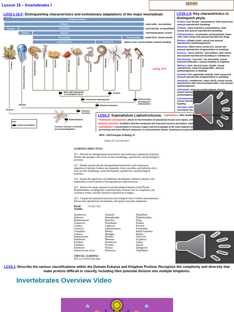 LSN 16 Invertebrates I SV | PDF | Sponge | Invertebrate