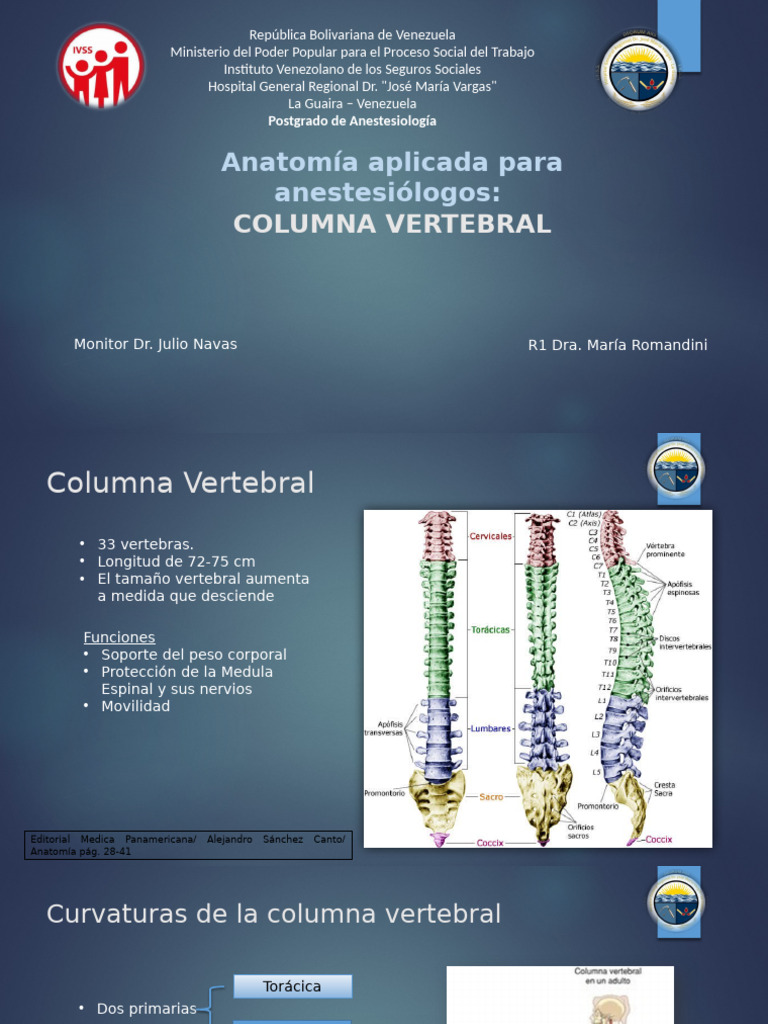 Anatomía de la Columna Vertebral para Anestesiólogos | PDF | Vértebra ...