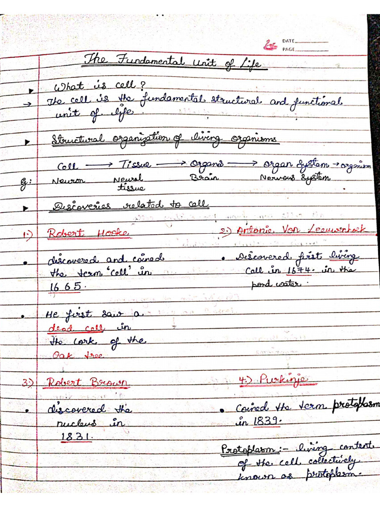Cell - Class 9th | PDF