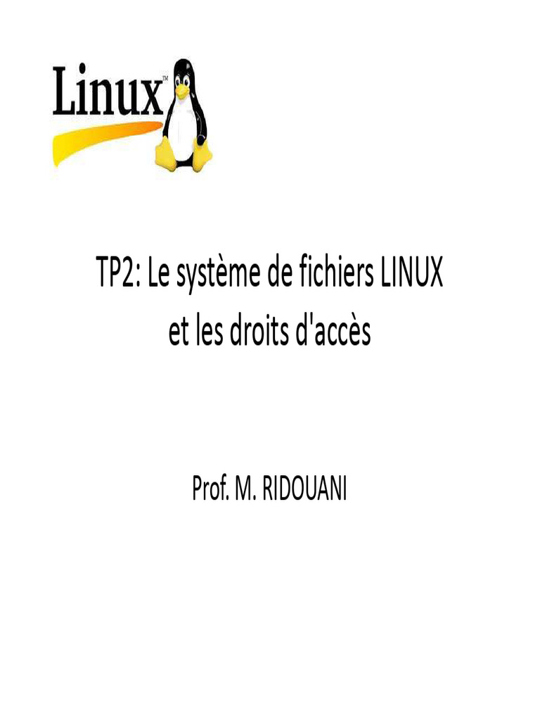 Système de fichiers et droits LINUX | PDF | Système de fichiers ...