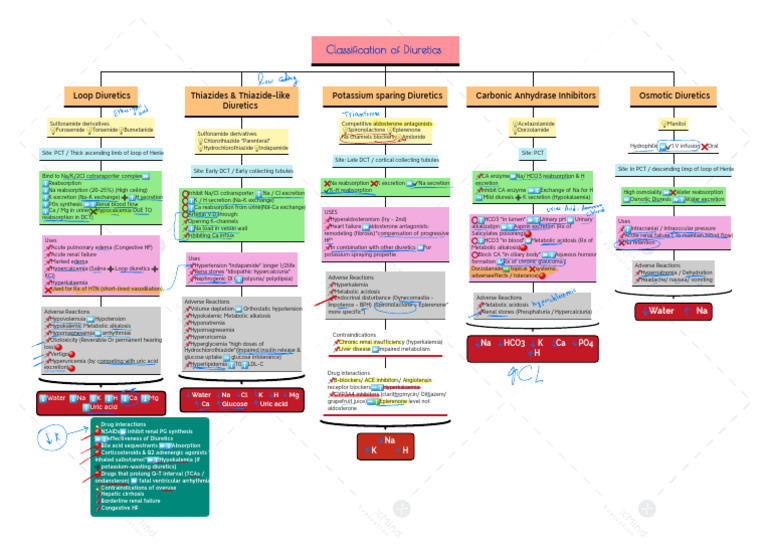Diuretic Classification and Uses | PDF | Drugs