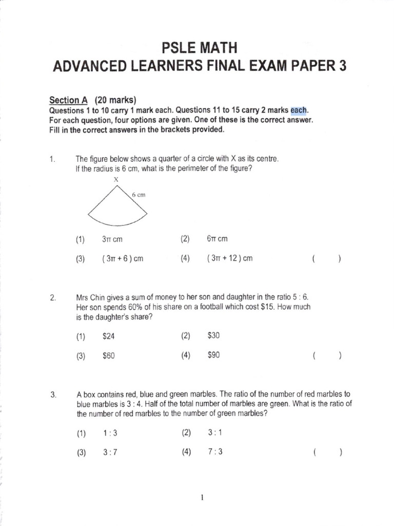 Psle Set 3 | PDF