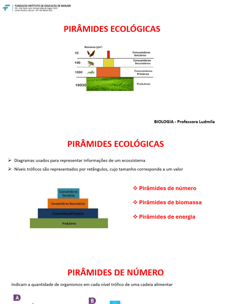 Pirâmides Ecológicas: BIOLOGIA - Professora Ludmila | PDF