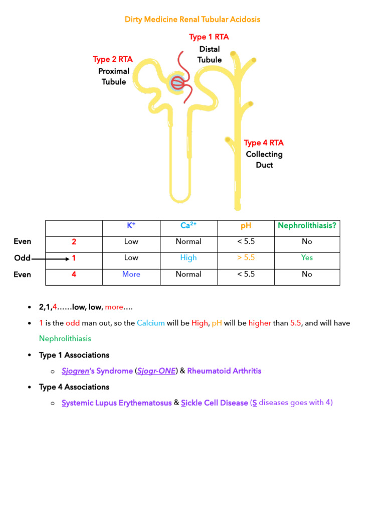 Renal Tubular Acidosis | PDF