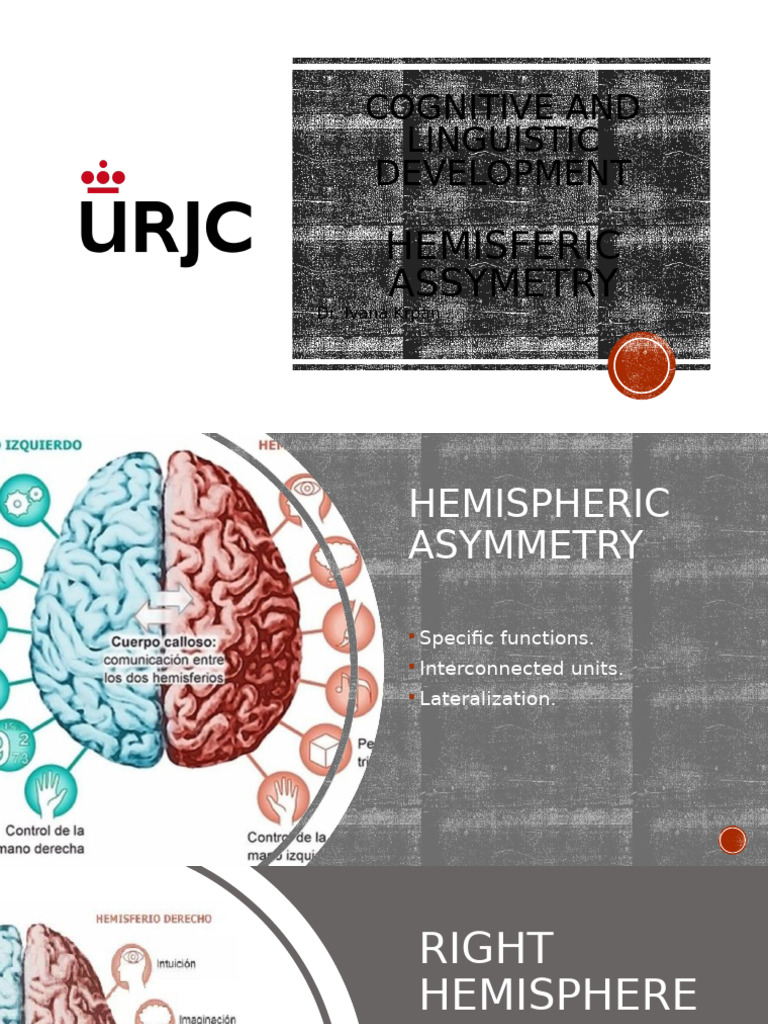 1.2 Hemisferic Assymetry | PDF