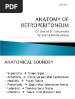 Gerota's Fascia: Anatomy and Imaging Insights | PDF | Kidney | Medical ...