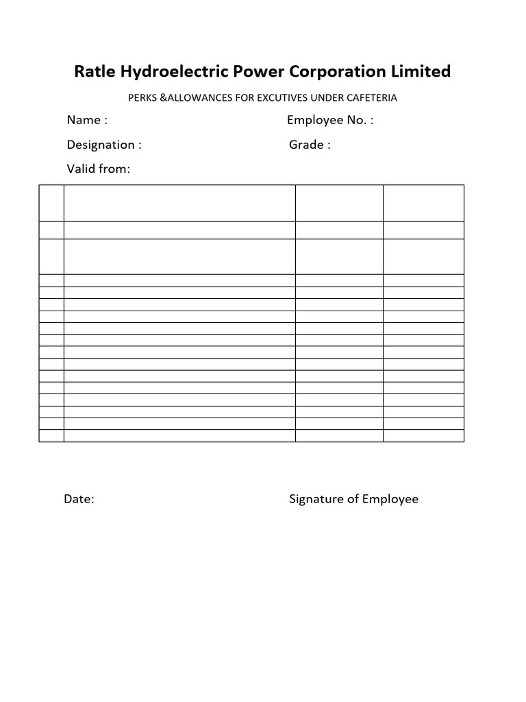 Executive Perks & Allowances Guide | PDF