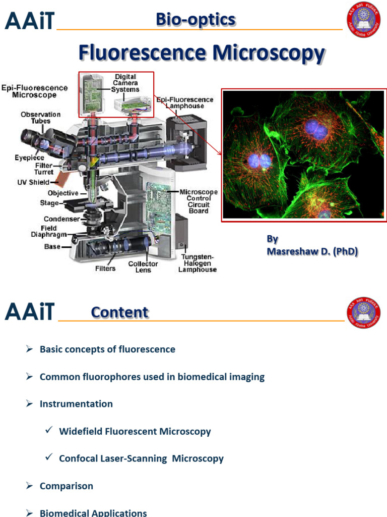 Fluorescence Microscopy Overview | PDF | Confocal Microscopy | Fluorophore