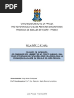 Relatorio Final Probex 2012 Diogo