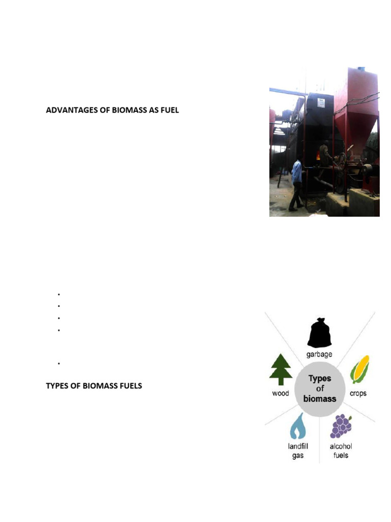 1-CAN BIOMASS BE USED AS A BOILER FUEL-v1.0 | PDF | Fuels | Biofuel