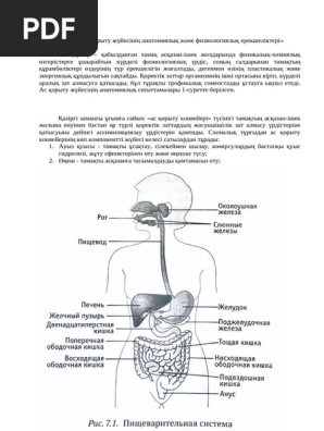«Ханайым» эротикалық фильмін онлайн көріңіз