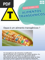 Vantagens e Desvantagens dos Transgênicos | PDF | Transgênese ...