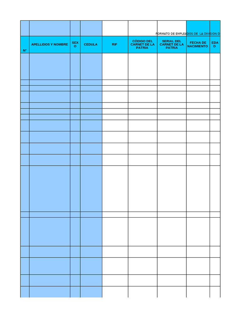 Formato Azul 2024 Entidades | PDF