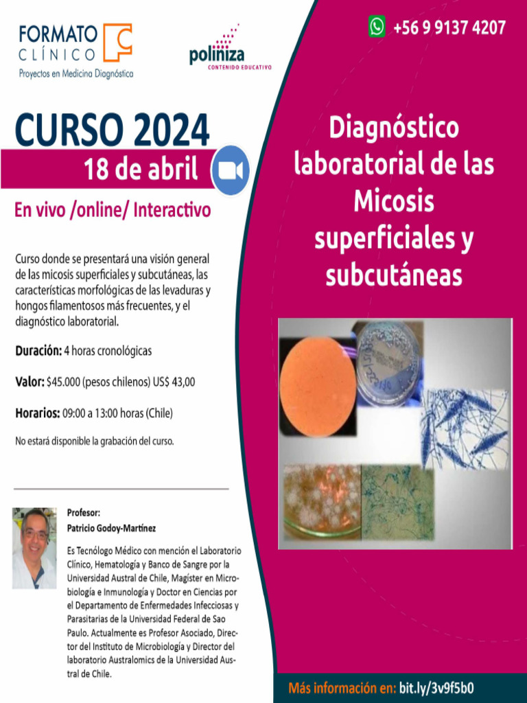 Curso 18abril 2024 | PDF