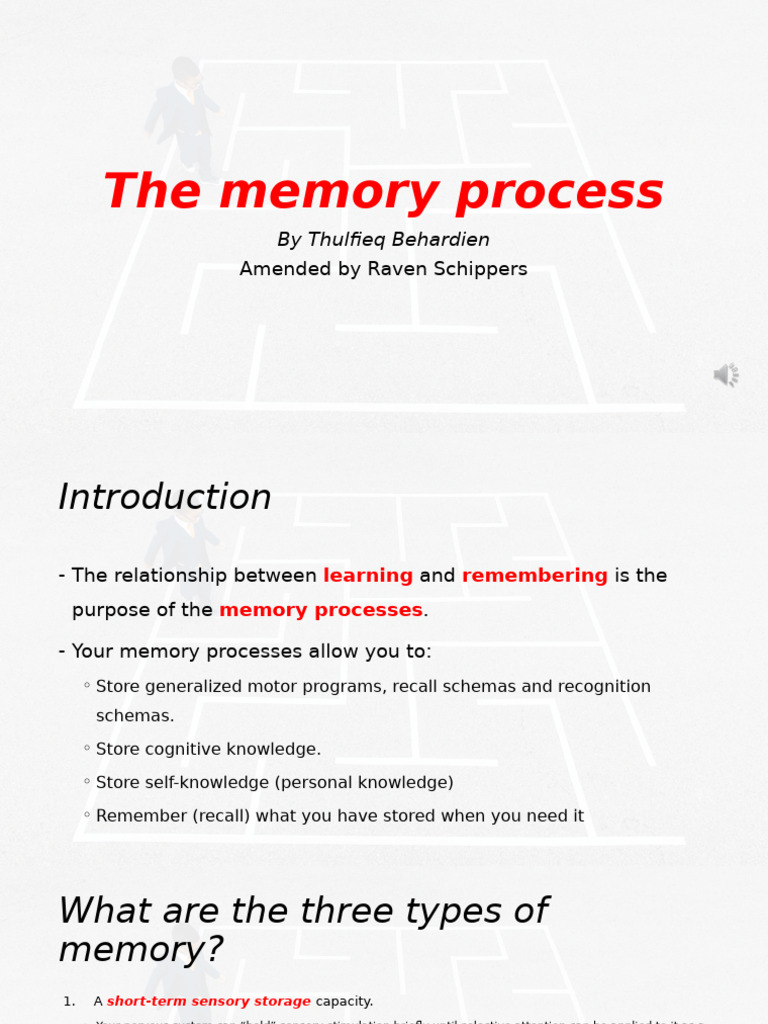 Understanding Memory Processes Explained | PDF | Memory | Long Term Memory