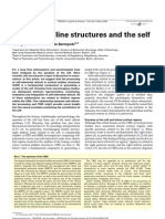 Cortical Midline Structures and The Self